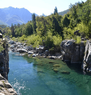 Registro Civil en Maule