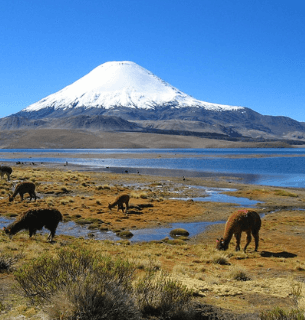 Registro Civil en Arica y Parinacota