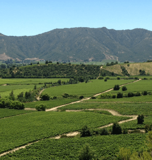 Registro Civil en Libertador Gral. Bernardo O’Higgins