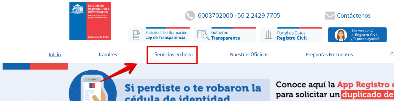 Servicios en línea